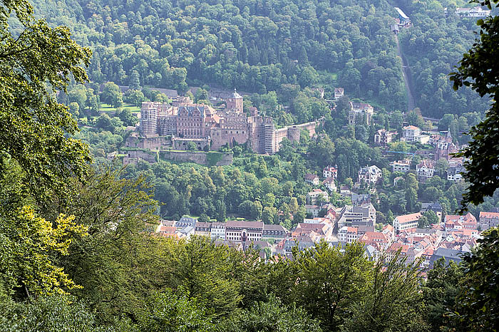 Blick aufs Heidelberger Schloss_DSC9328 Kopie