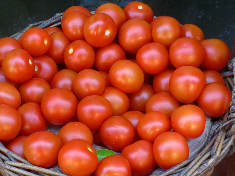 tomatenP1030090_DxO