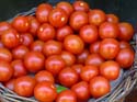 tomatenP1030090_DxO