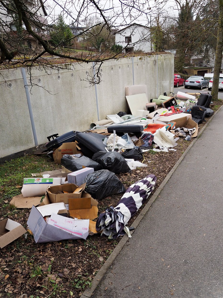 Müllentsorgung in Albanien ... Verzeihung Leimen, der Boris-Becker-Stadt