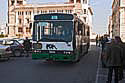 Bus 1156 in Syrakus Kopie