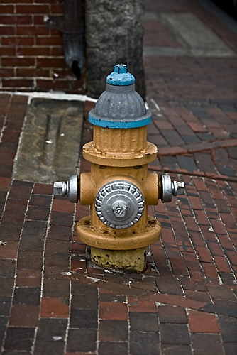 hydrant portland Kopie