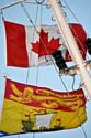 Flaggen von Kanada und Neu Braunschweig Kopie
