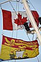 Flaggen von Kanada und Neu Braunschweig Kopie