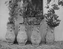 Griechische Vasen Kopie