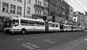 Trolleybus und Busse in Stralsund Kopie