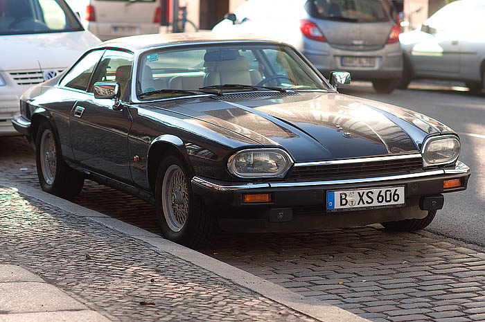 jaguar in berlin_DSC4104 Kopie