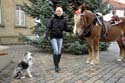 Hund Frau Pferd Weihnachten 2011_MG_9874