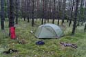 Zelt in Wald hinter Nowe_DSC7119_DxO