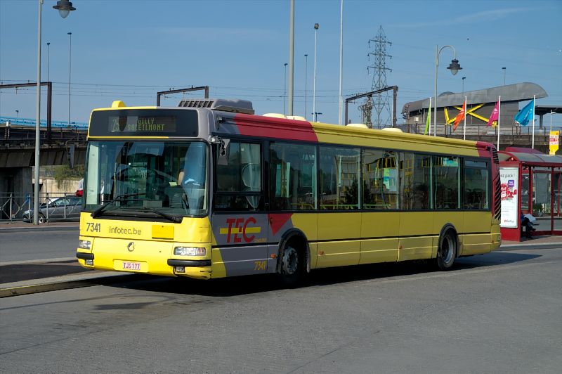 bus 7341_DSC8098
