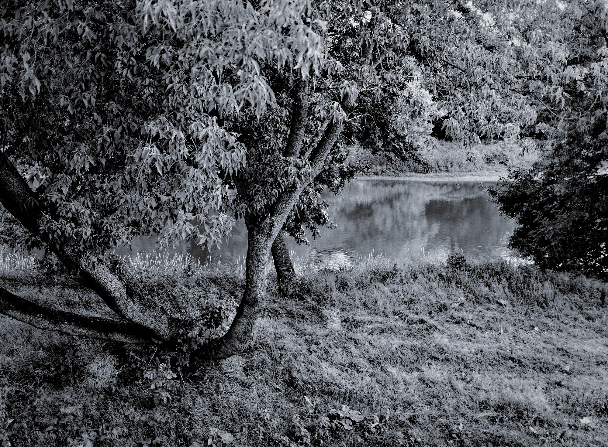 _6220184_DxO 
