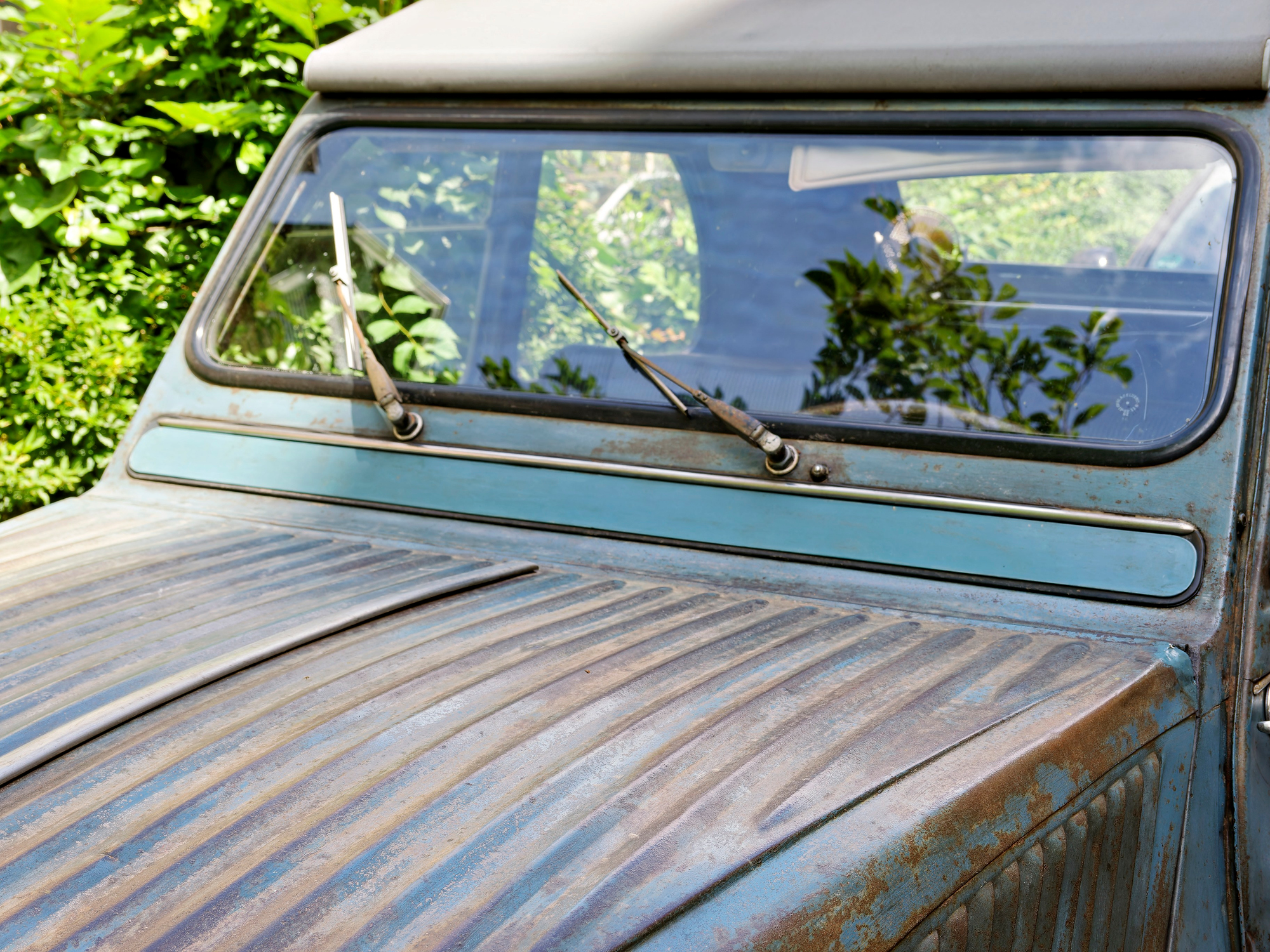 _6160033_DxO_Radiant