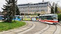 20230423-_4230656-ORF_RadiantA