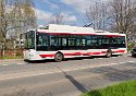 _4200265_DxO-1_Radiant