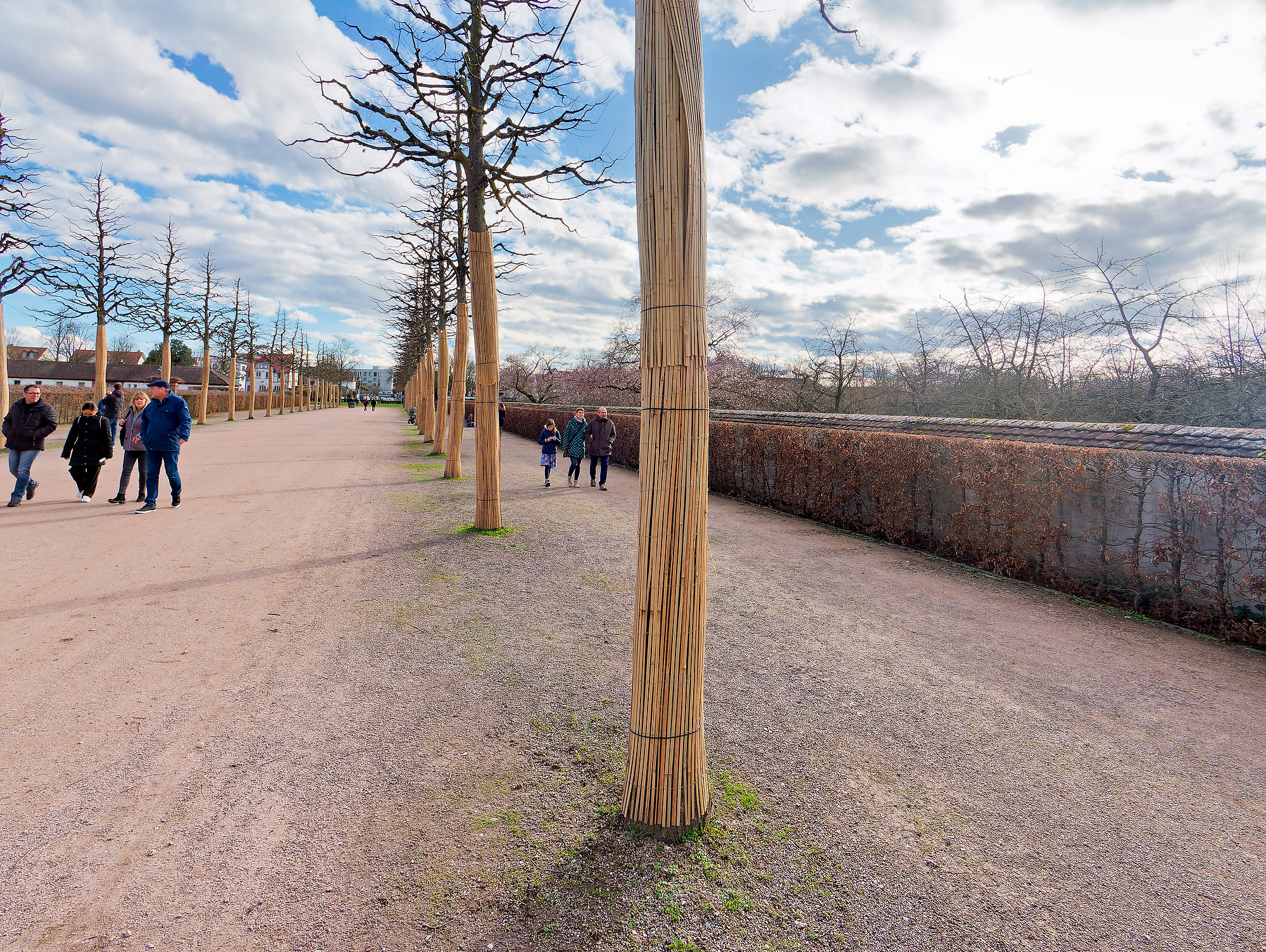 P2250007_DxOBirds Afternoon 1