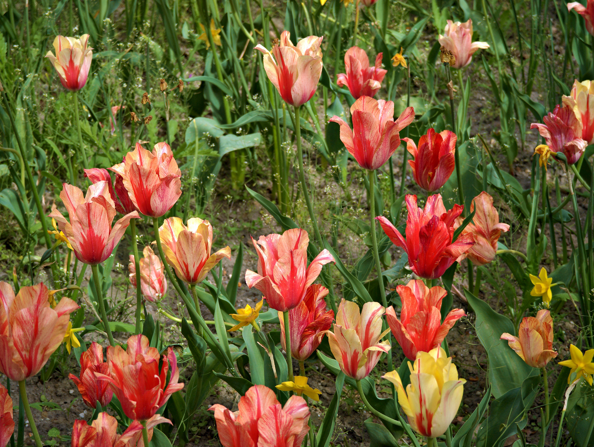 IMG_20250510_110655_Radiant