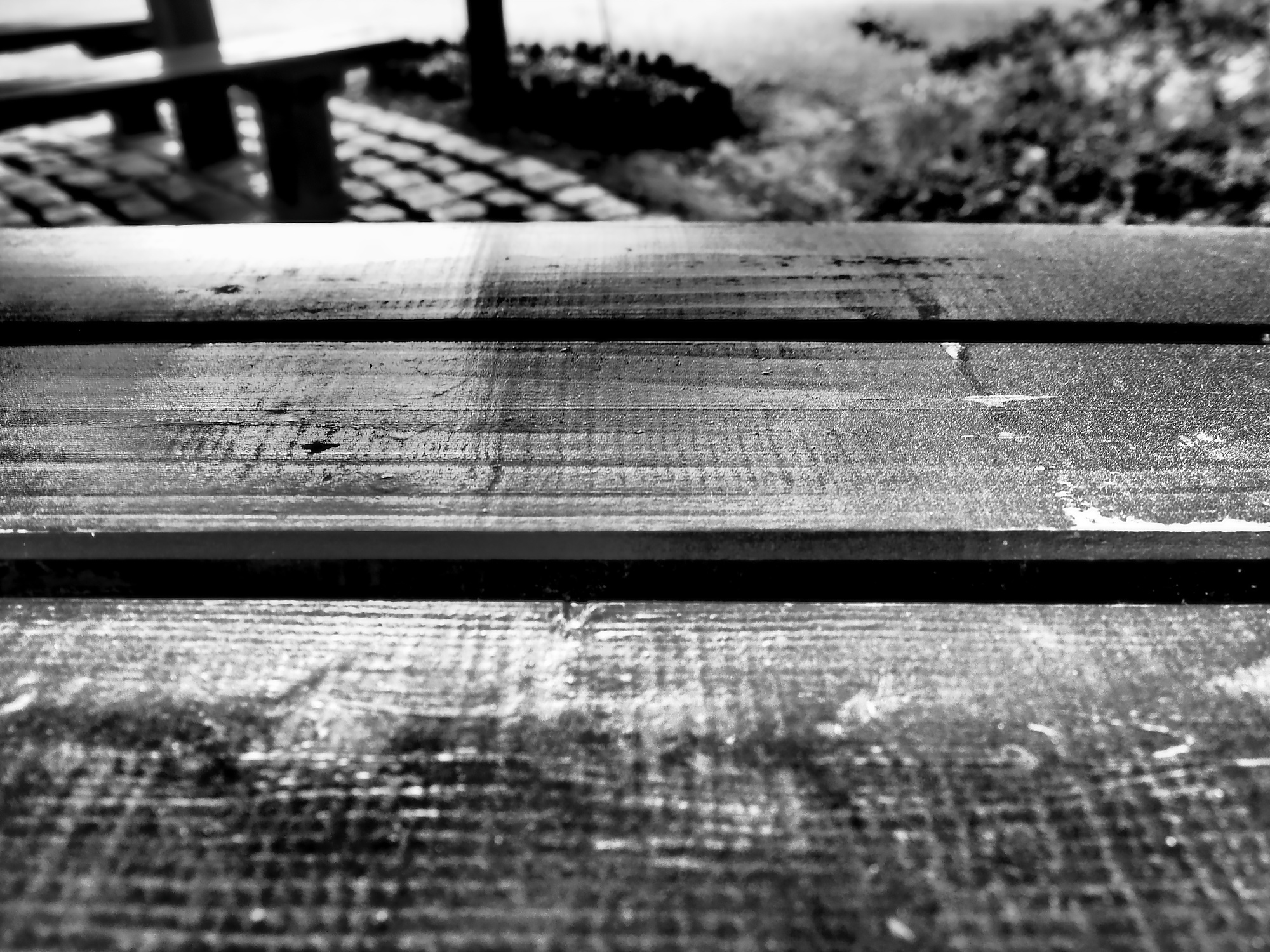 P5080016_DxOVP