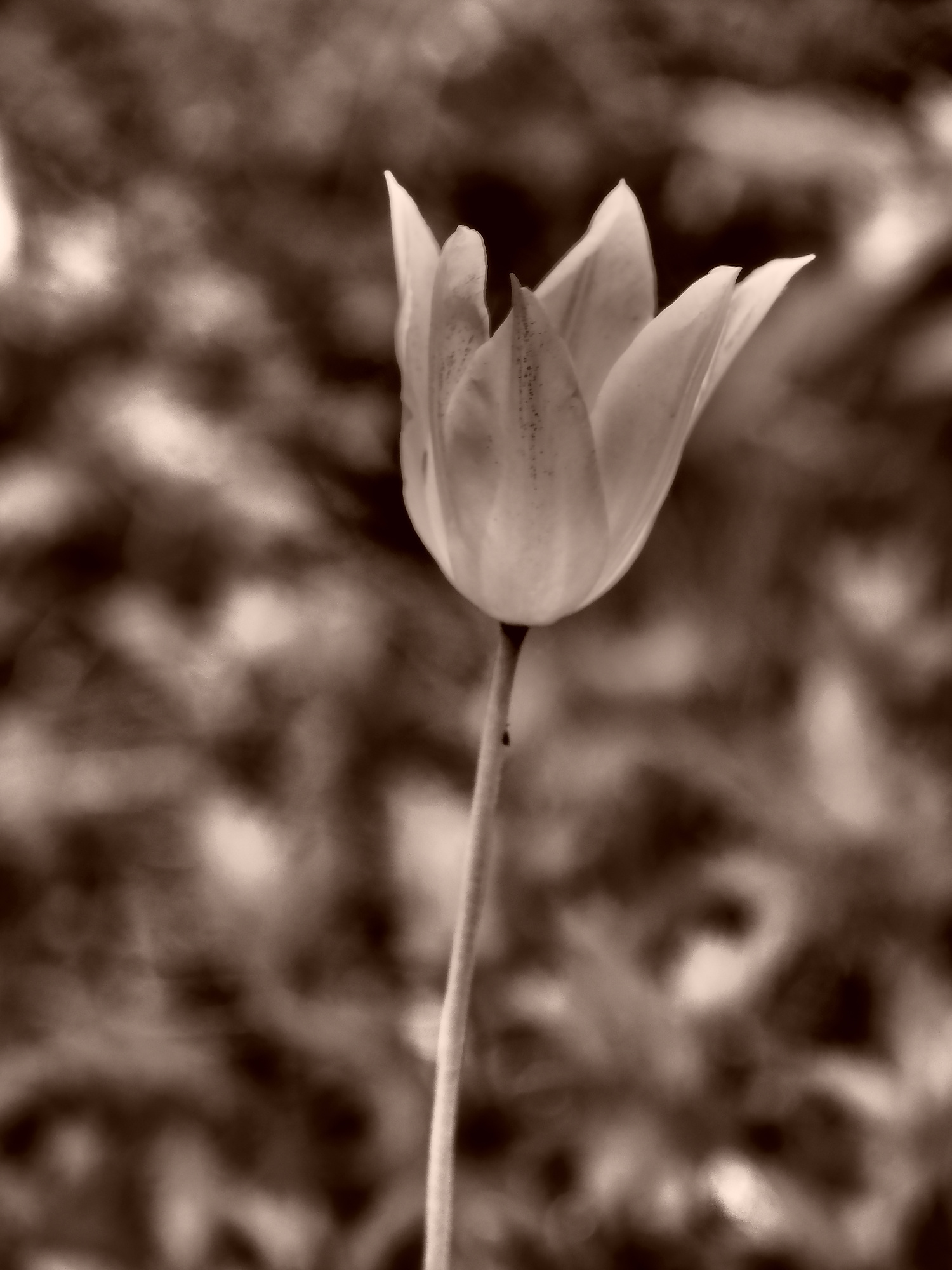P5080075