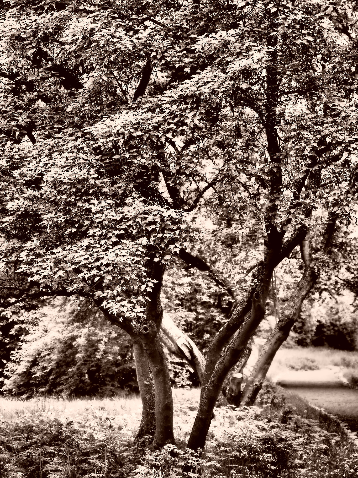 P5080083