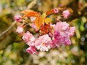 _4160180_DxO_RadiantA