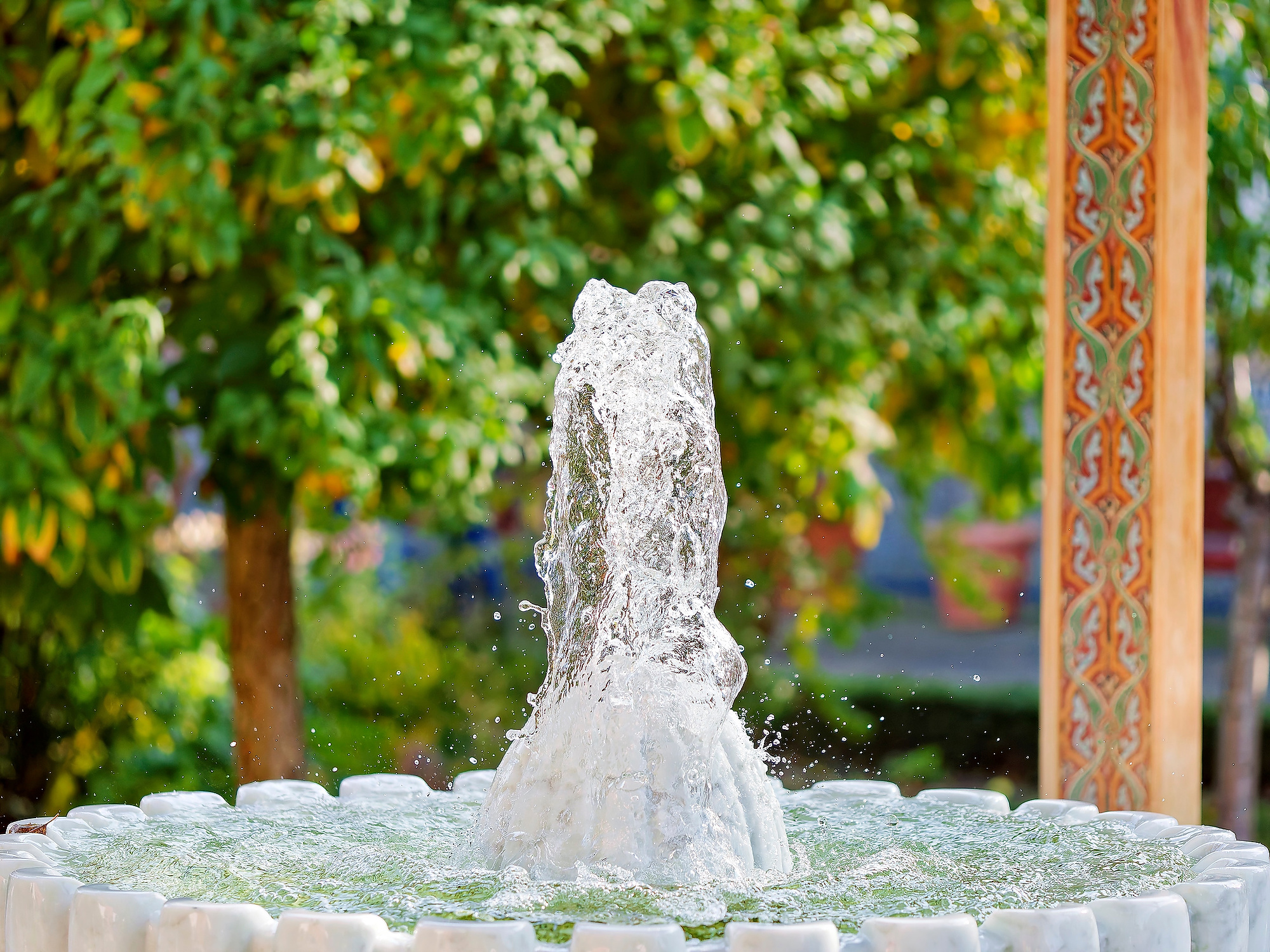 _A180075_DxO_RadiantA