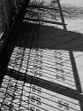 _3220010_DxO A