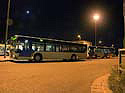 bus137